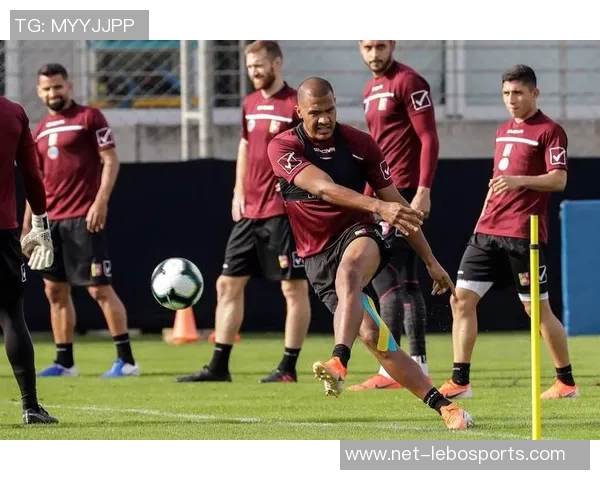 厄瓜多尔足球队的辉煌历程与未来展望分析